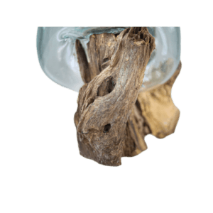 Vase sur bois racine - ø25x30 - Naturel - Teck/verre -